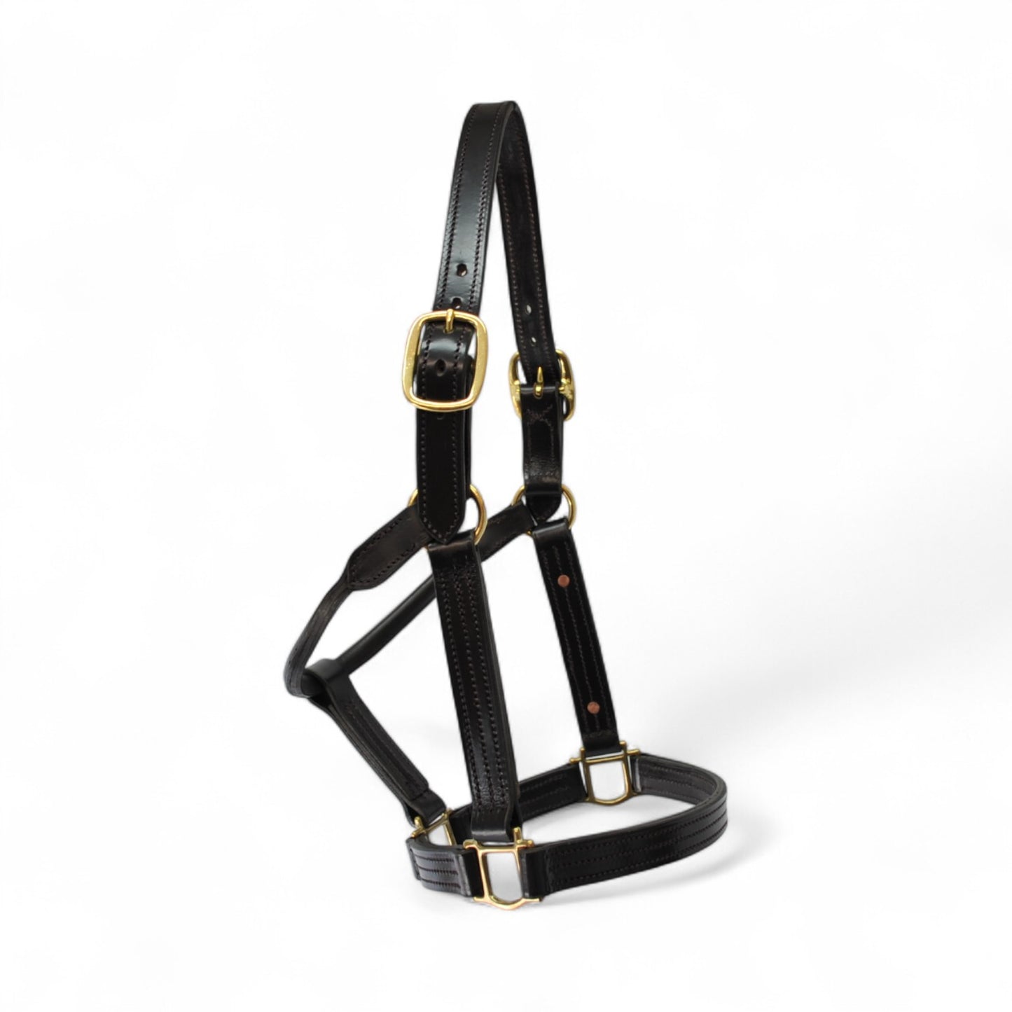 Stallion Leather Headcollar