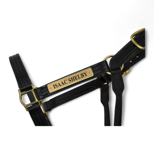 Stallion Leather Headcollar