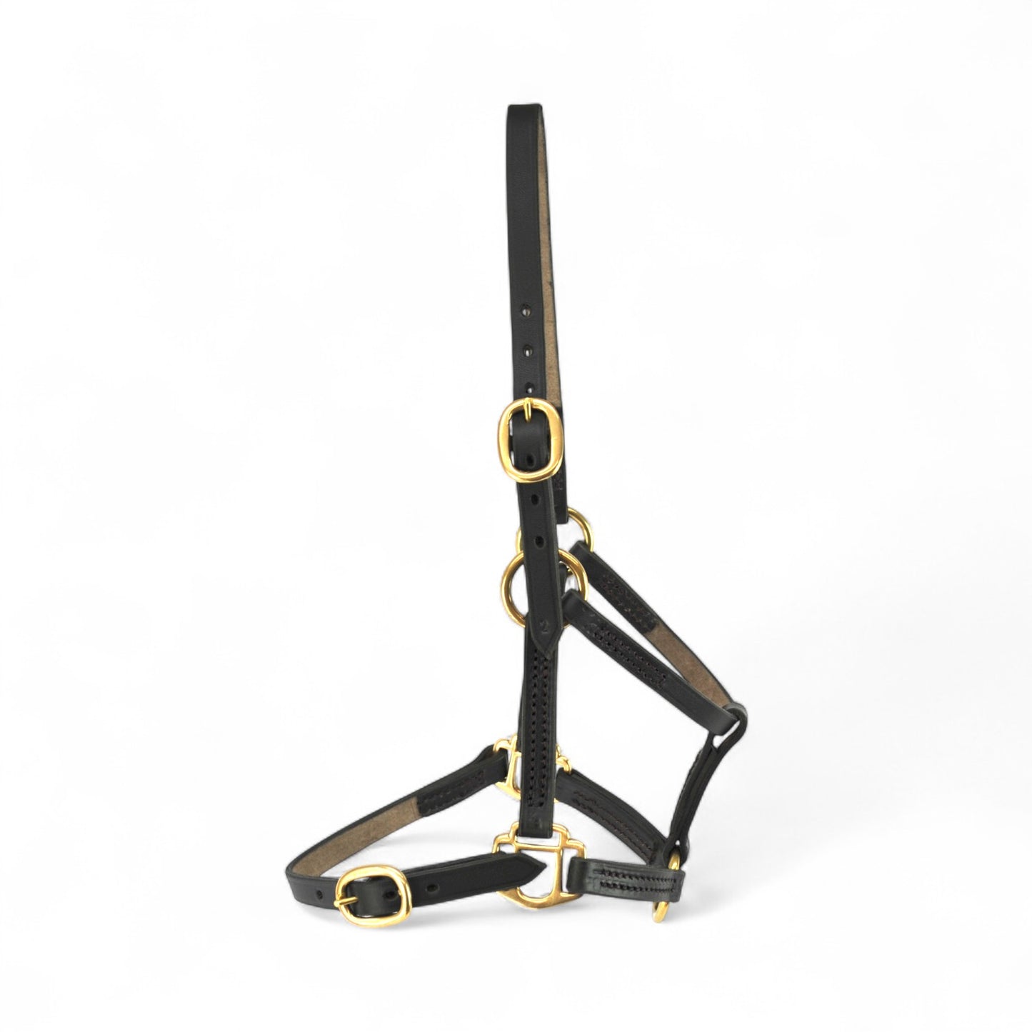 Foal Headcollar Size 3