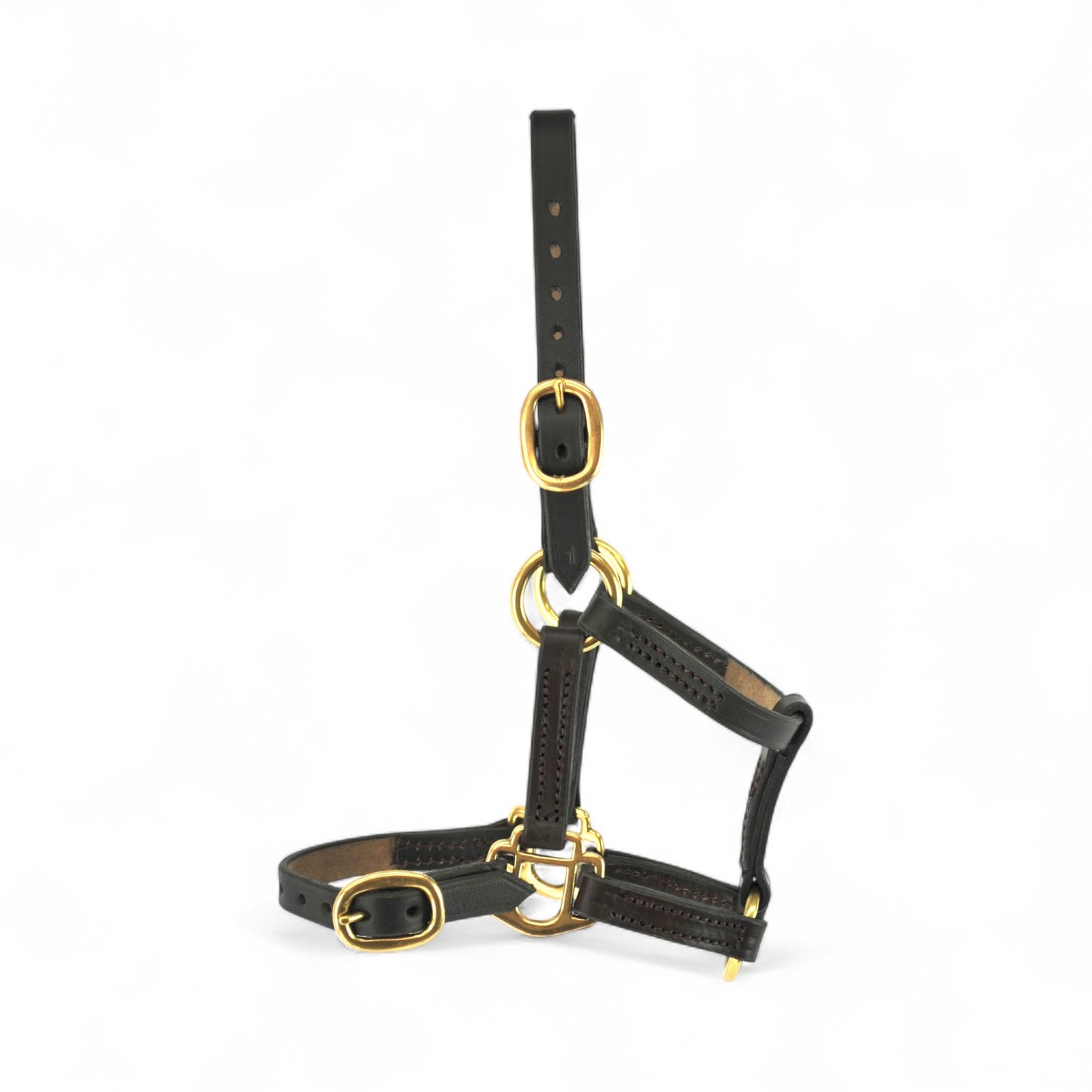 Foal Headcollar Size 1