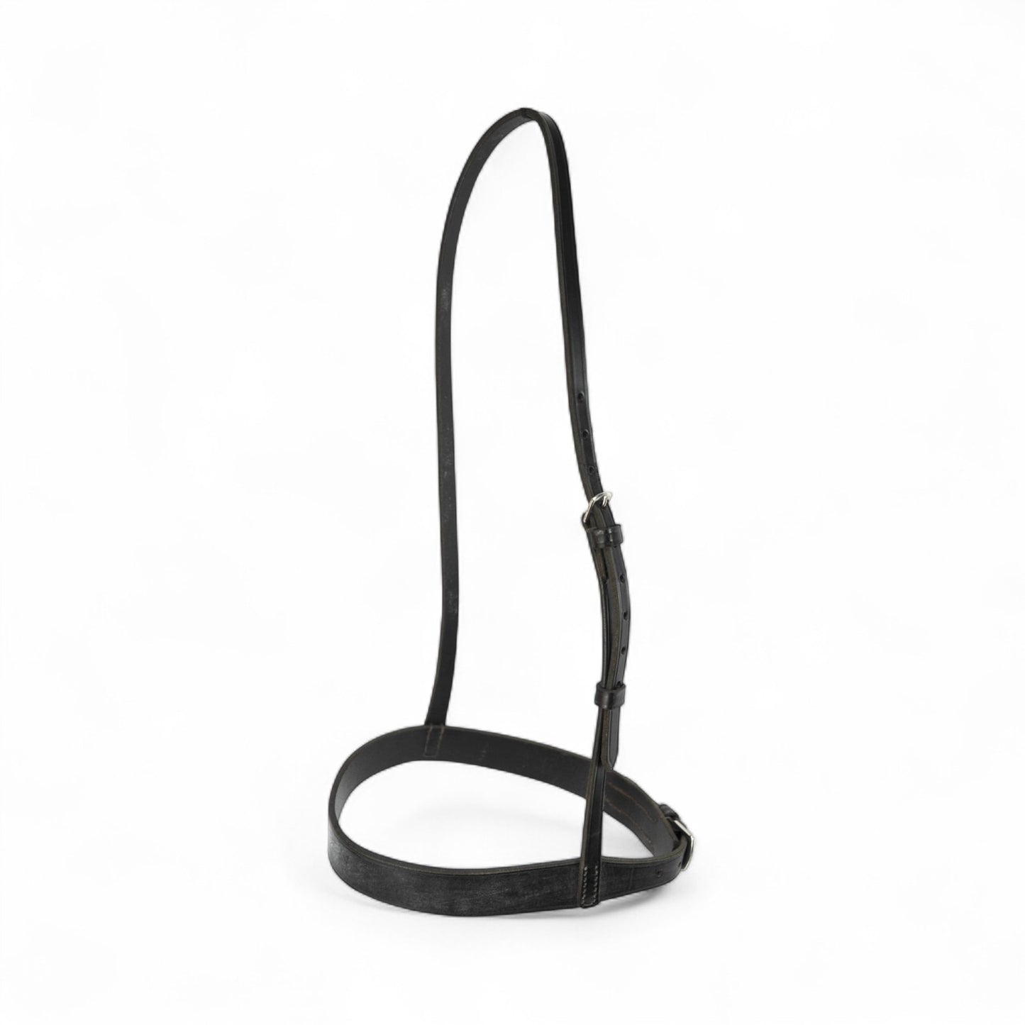 Exercise Bridle Noseband