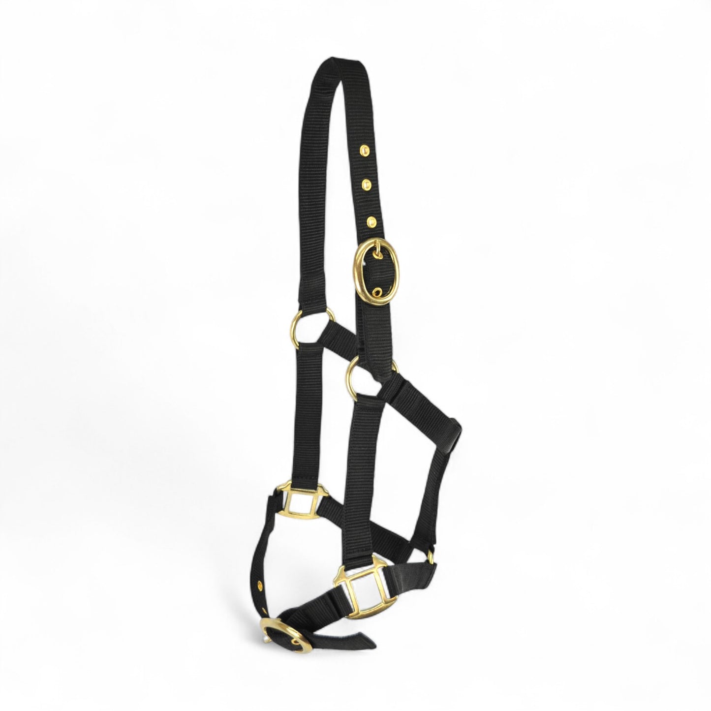 Nylon Headcollar
