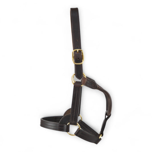 Five Ring USA Style Stallion Leather Headcollar