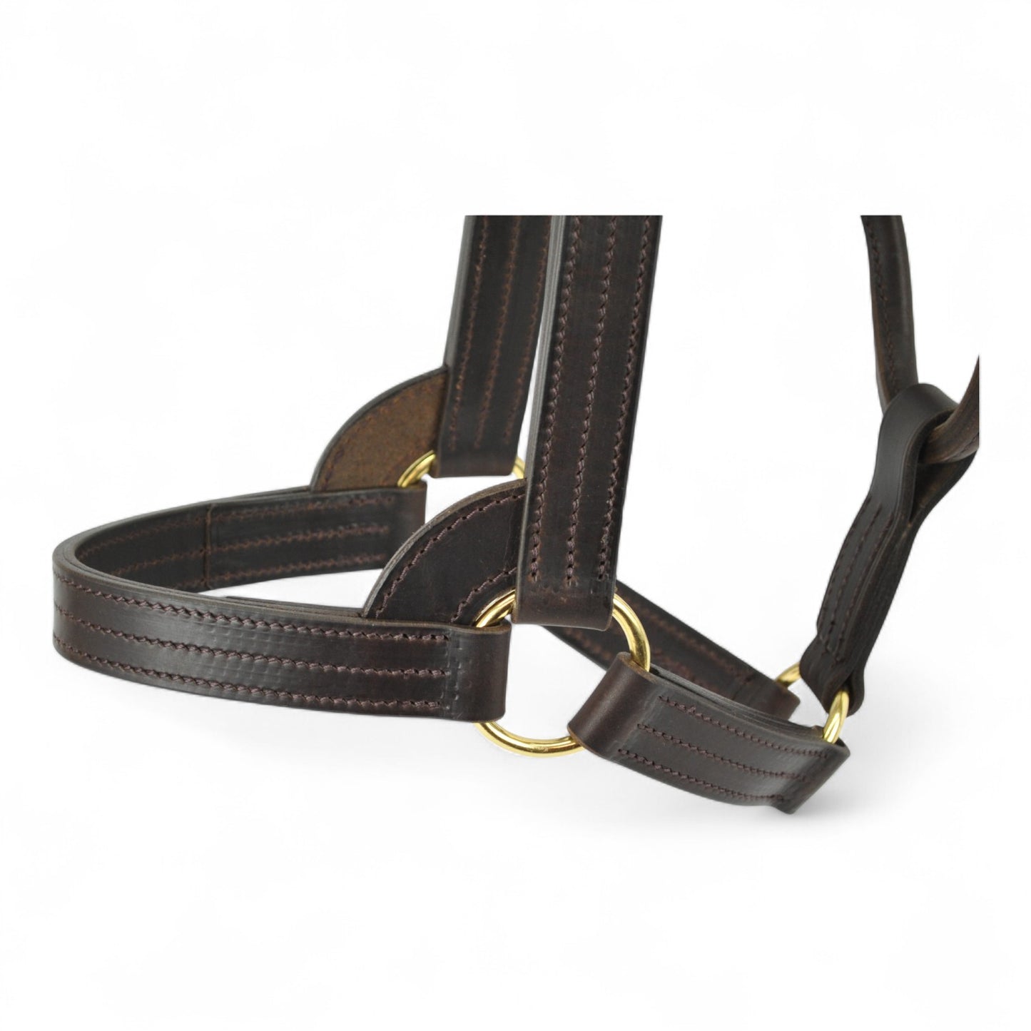 Five Ring USA Style Stallion Leather Headcollar