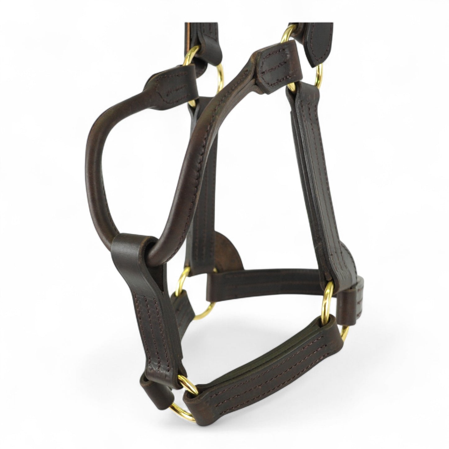 Five Ring USA Style Stallion Leather Headcollar
