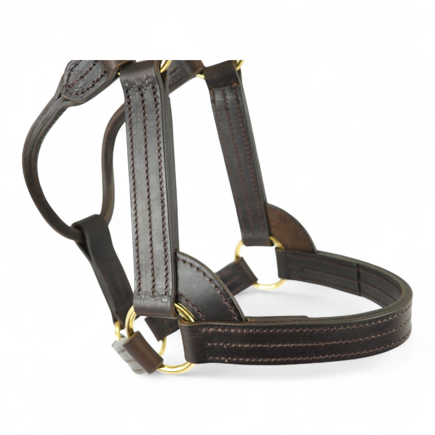 Five Ring USA Style Stallion Leather Headcollar