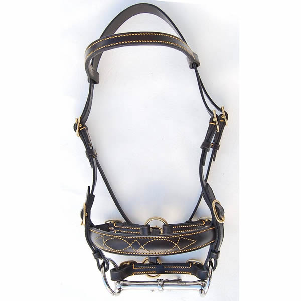 Inhand Bridle
