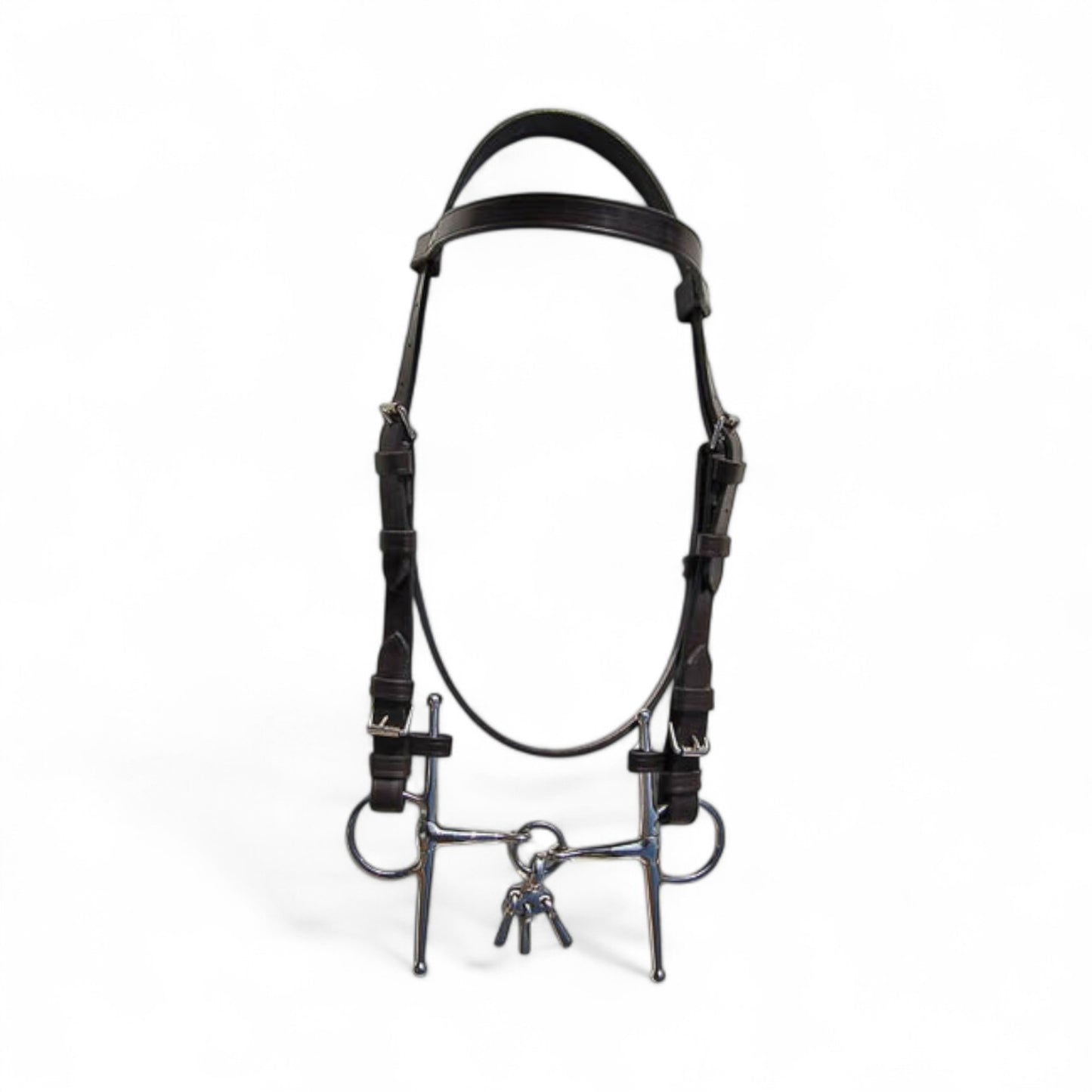 Breaking Bridle