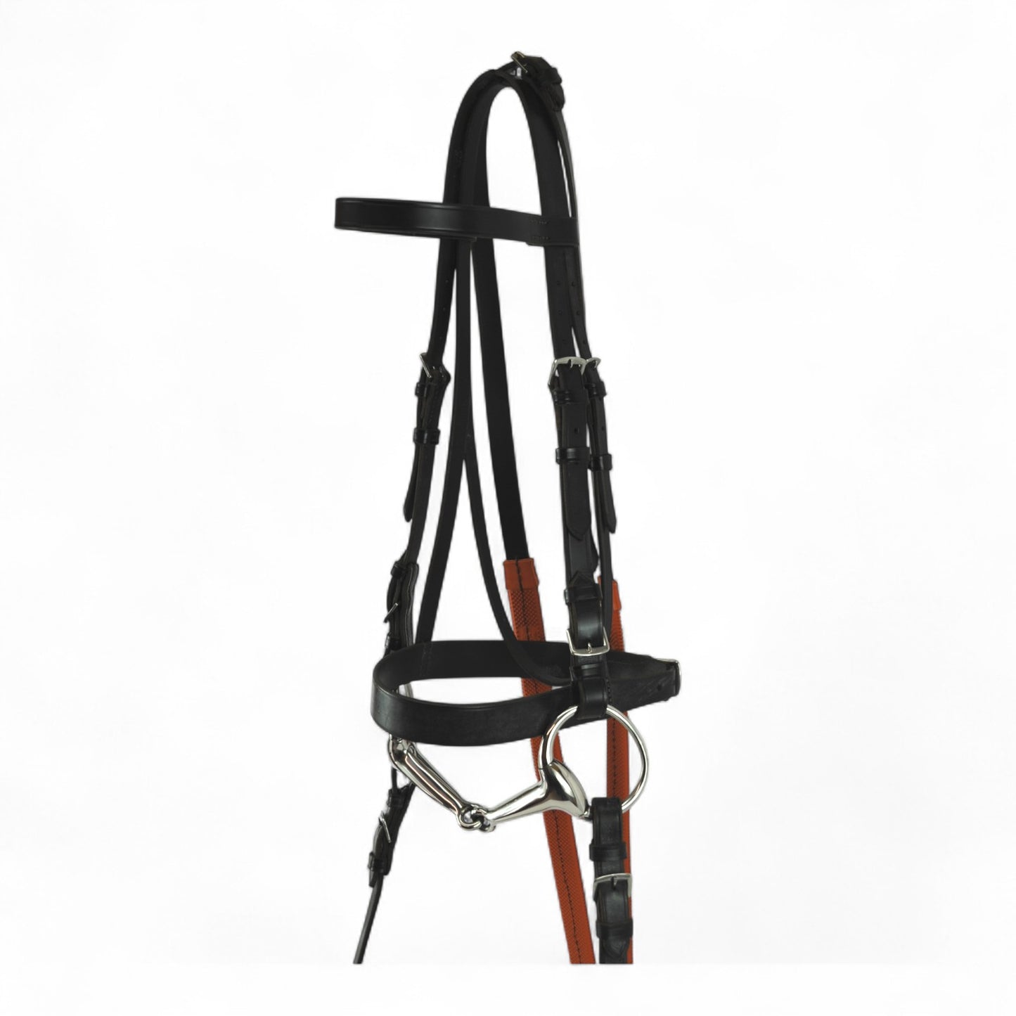 Exercise Bridle Buckle Billet