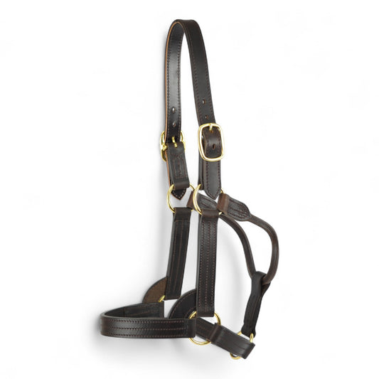 Five Ring USA Style Stallion Leather Headcollar
