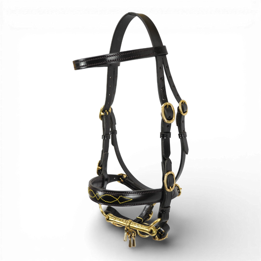 Inhand Bridle